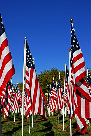 murrieta-flags-memorial-day-local-seo-serivces-riverside-county-web-deisgn-temecula murrieta-flags-memorial-day-local-seo-serivces-riverside-county-web-deisgn-temecula