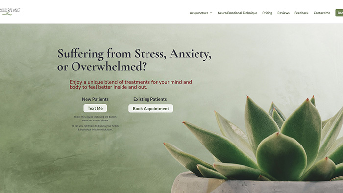 acupuncture-web-design-temecula-murrieta-shared-grsphics-portfolio-example-site-06 acupuncture-web-design-temecula-murrieta-shared-grsphics-portfolio-example-site-06