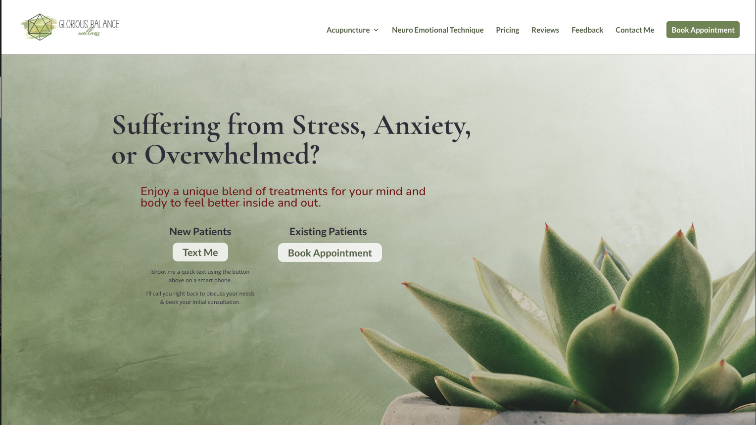 web-design-and-seo-portfolio-san-diego-acupuncture-clinic
